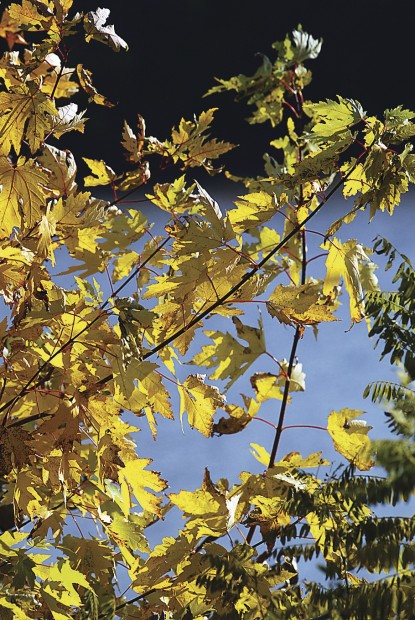 Fall_on_the_River1_LF_00008376A